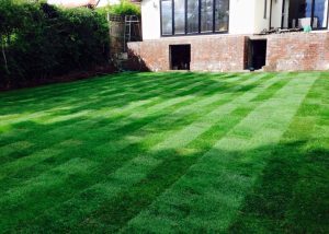 DB Garden Services Cheshire Landscaping Lawn