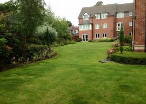 DB Garden Services Cheshire Lawn