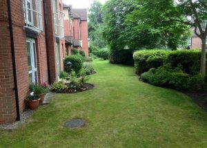 DB Garden Services Cheshire Landscaping Lawn